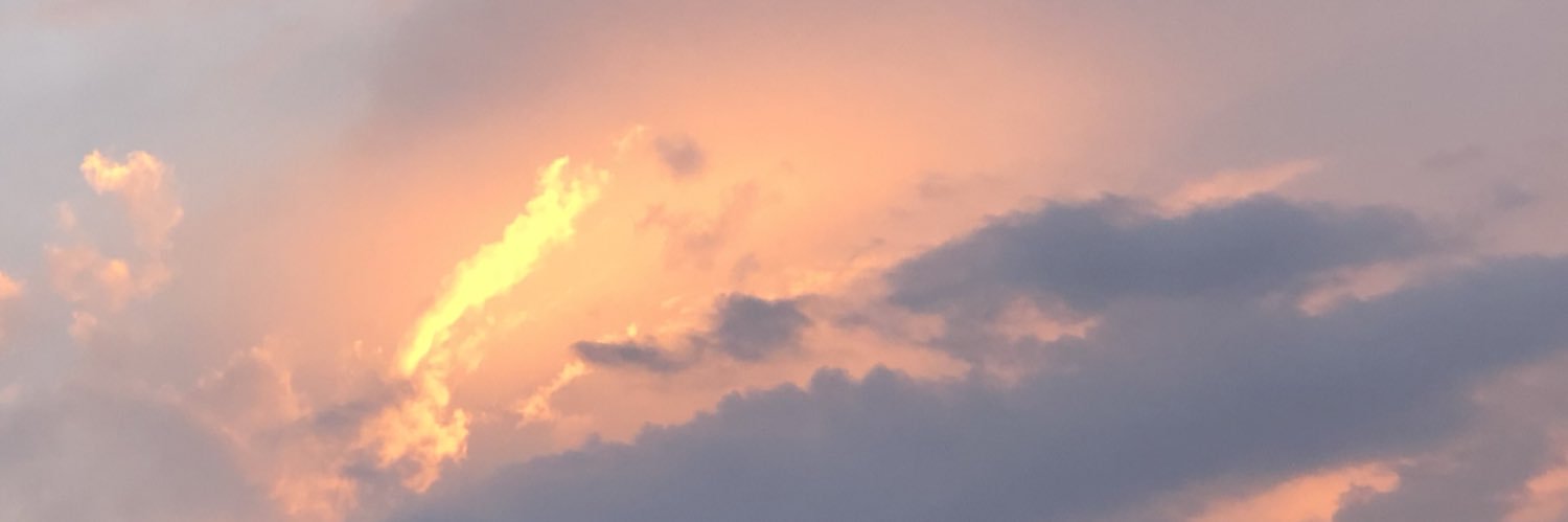 RachaJenner's profile banner image
