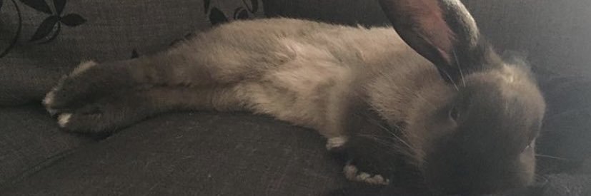 emilymate_3's profile banner image