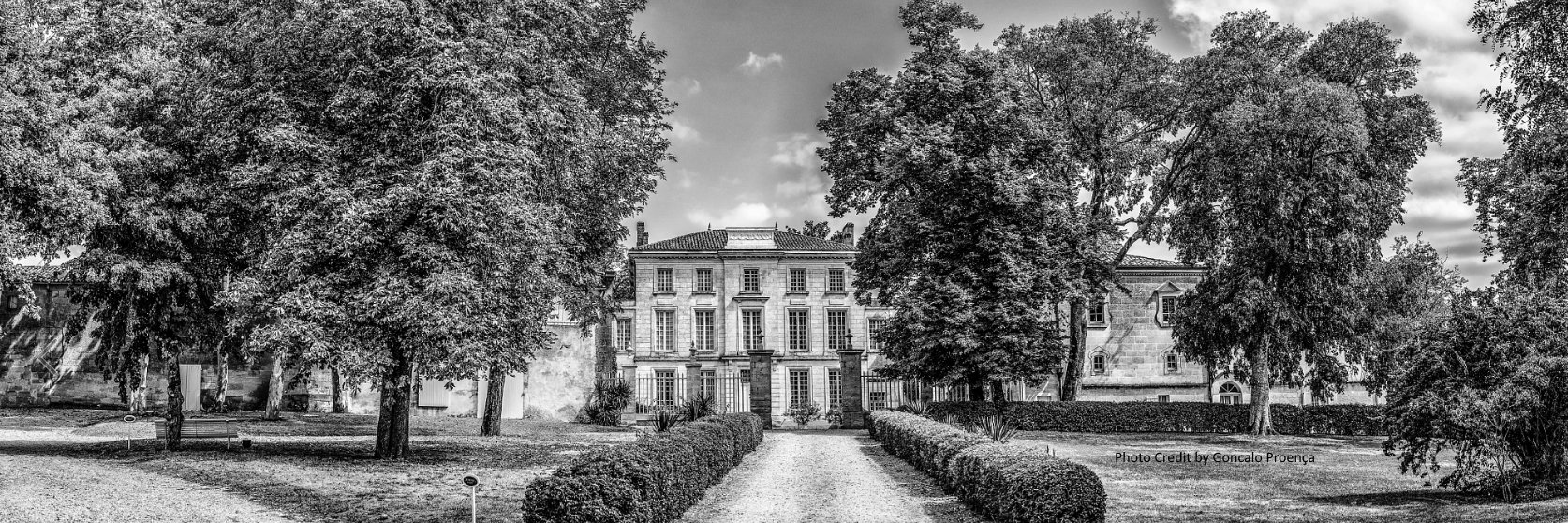 Chateau-Figeac banner
