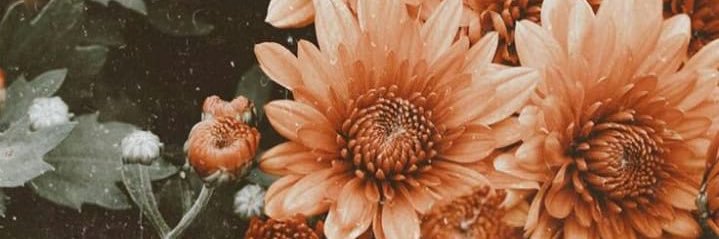 Itaa_Winda's profile banner image