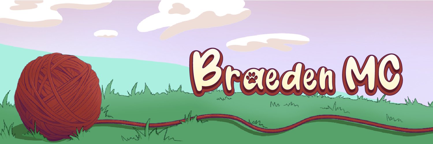 Braeden banner