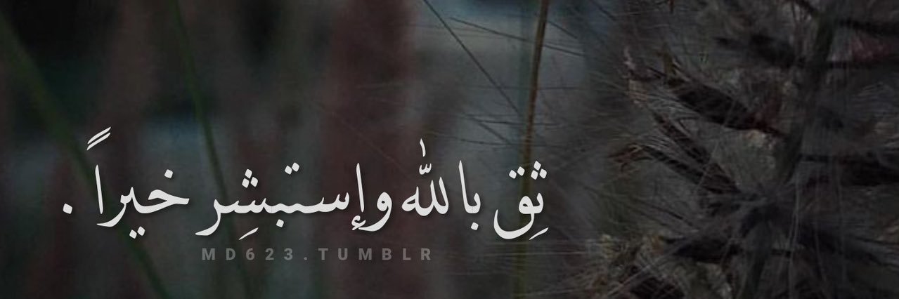 thamermau's profile banner image