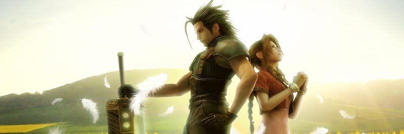Dani banner