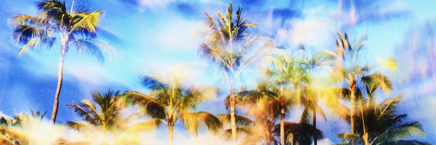 YoMonicaaa's profile banner image
