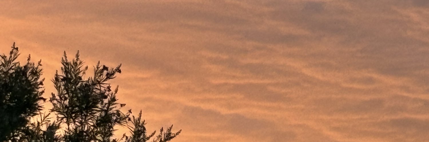 _Shellynielsen's profile banner image