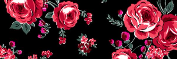 toppienk Profile Banner