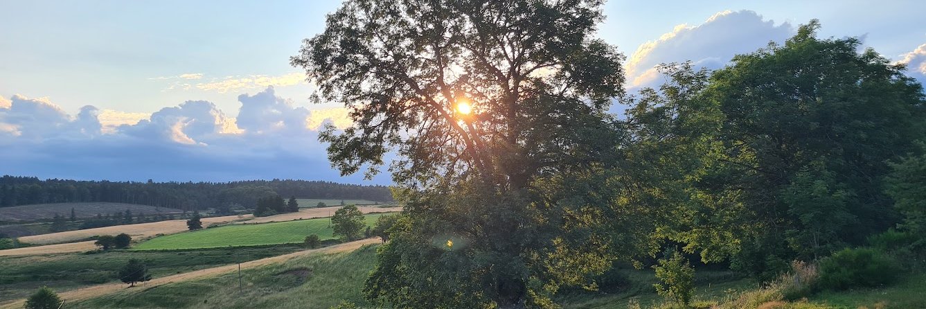 Philippe Krafting banner