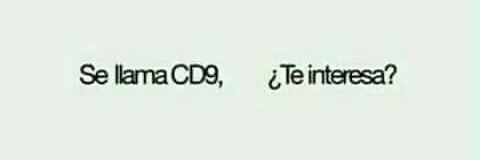 Erika_Coder's profile banner image