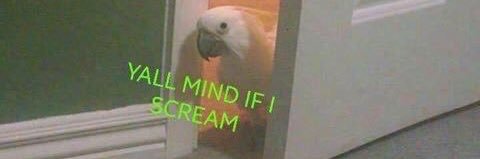 steph🗡️@ vgen comms open ‼️ banner