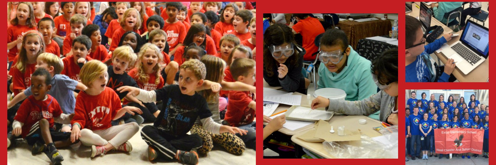 Terri-Lynne Alston banner