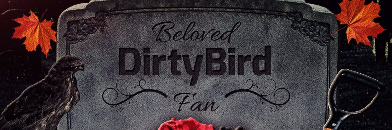 FalconFanTIli_'s profile banner image