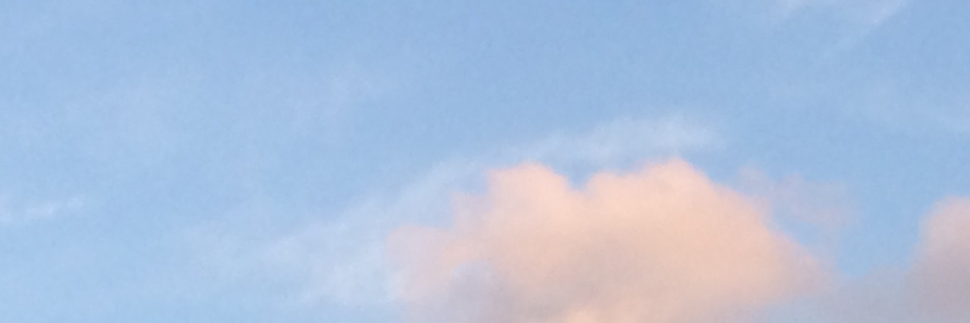 zenera's profile banner image