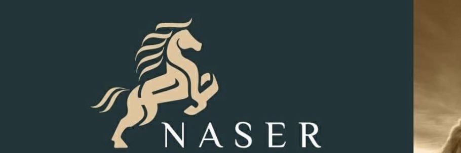 Naserqeer's profile banner image