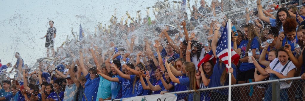 The Lion Cage banner