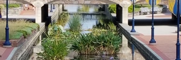 MrsLippyFCPS Profile Banner