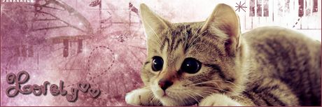 FeeClochette96's profile banner image