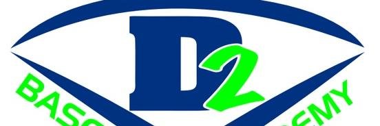 D2 BASEBALL ACADEMY banner