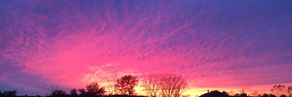 RealityTeacher0 Profile Banner