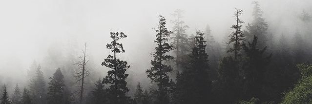trelawnym's profile banner image