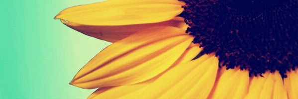 _alebooo's profile banner image