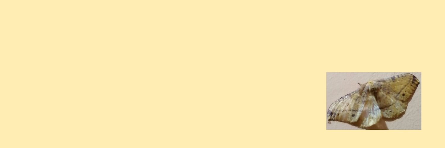 _mjxx's profile banner image