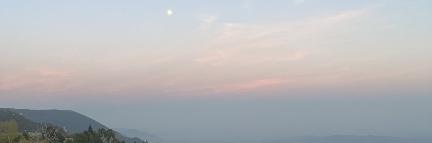 phillipskayleee's profile banner image