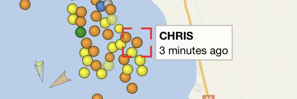 almond taylor-joy banner