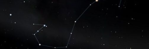 nimasken's profile banner image