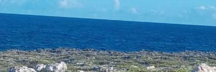 AyalaMario's profile banner image