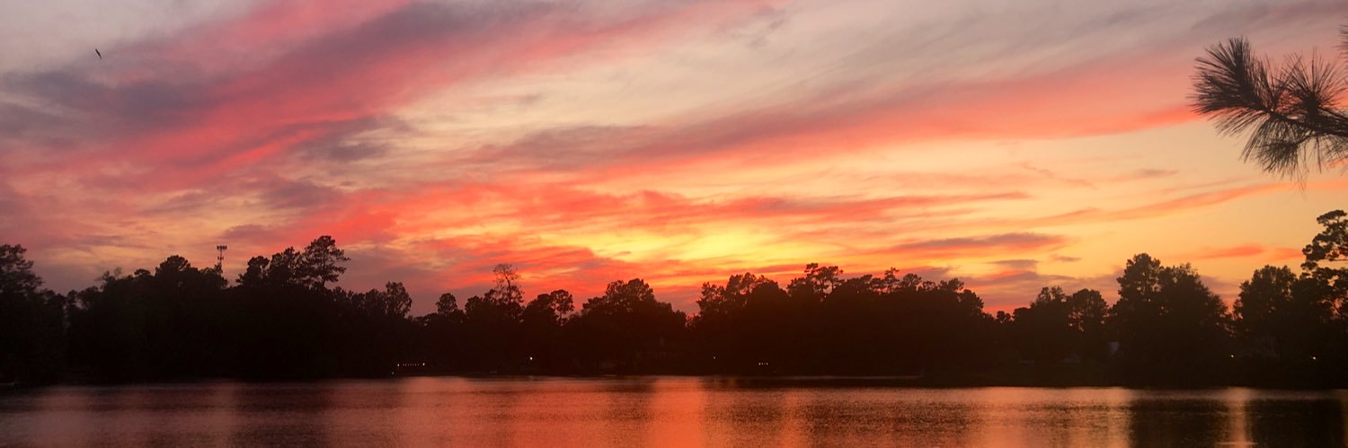 Gregory Porche banner