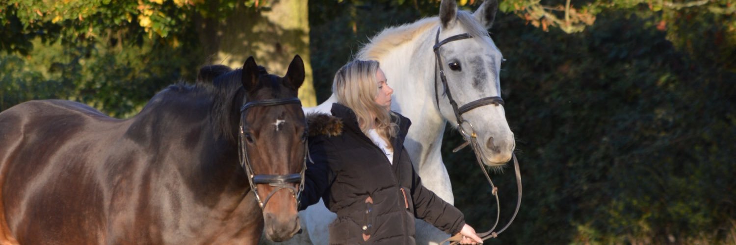 HarrietLEdwards's profile banner image