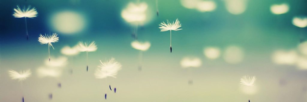 Heather Barron banner