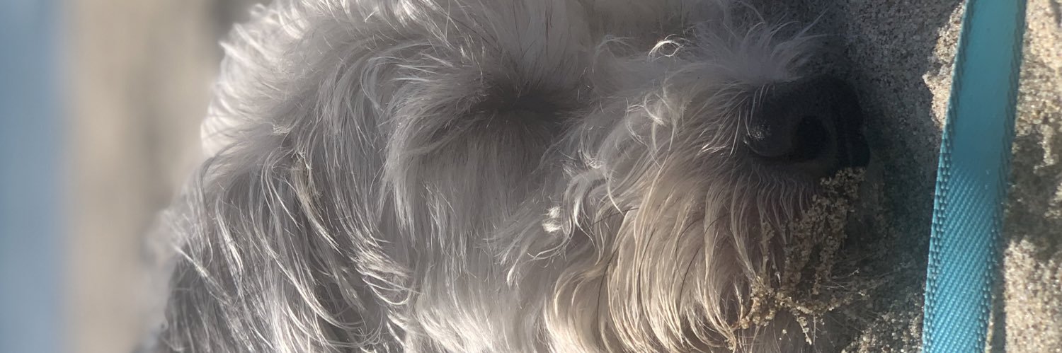 ThisIsJosephG's profile banner image