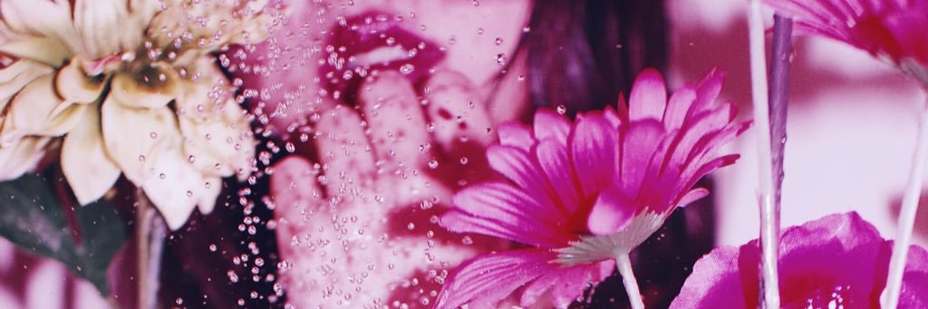 chicaHane's profile banner image
