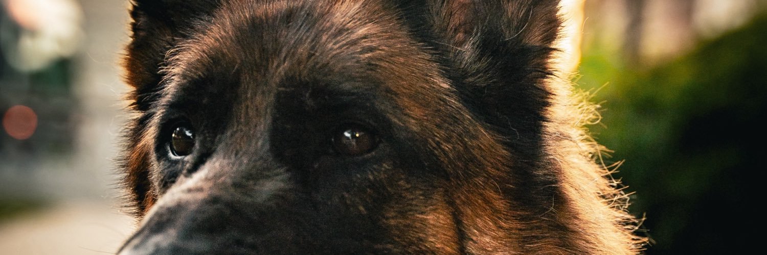 kattfihh's profile banner image