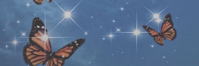 piper_warf's profile banner image