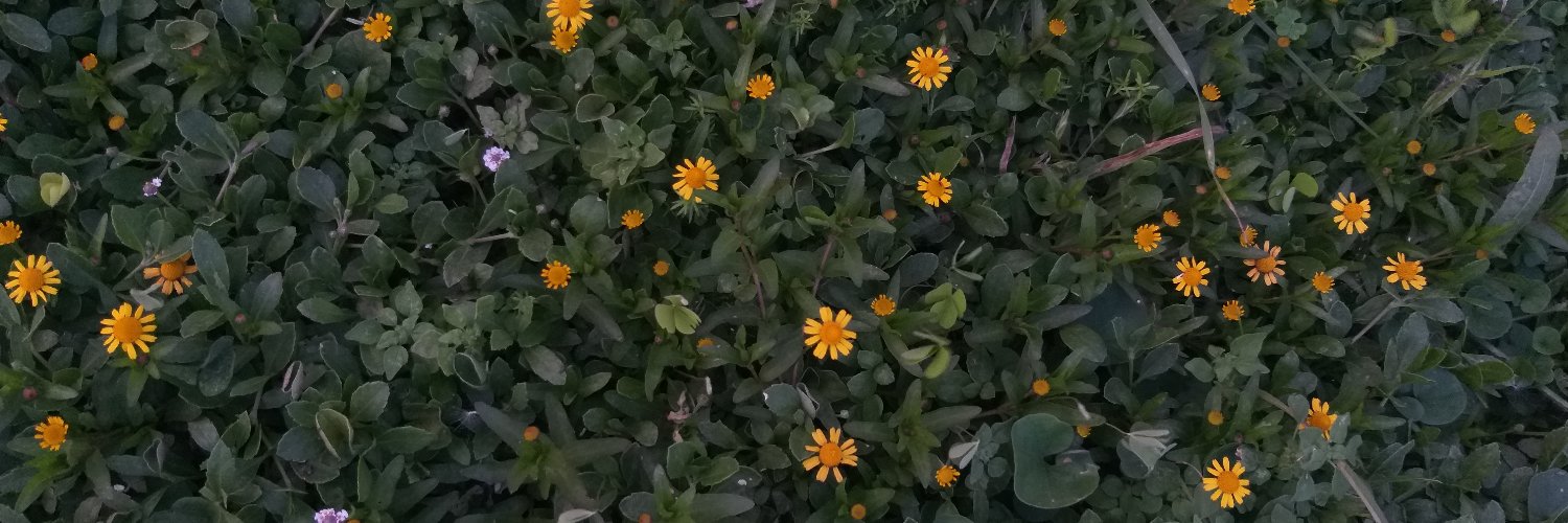 maradelvalle15's profile banner image