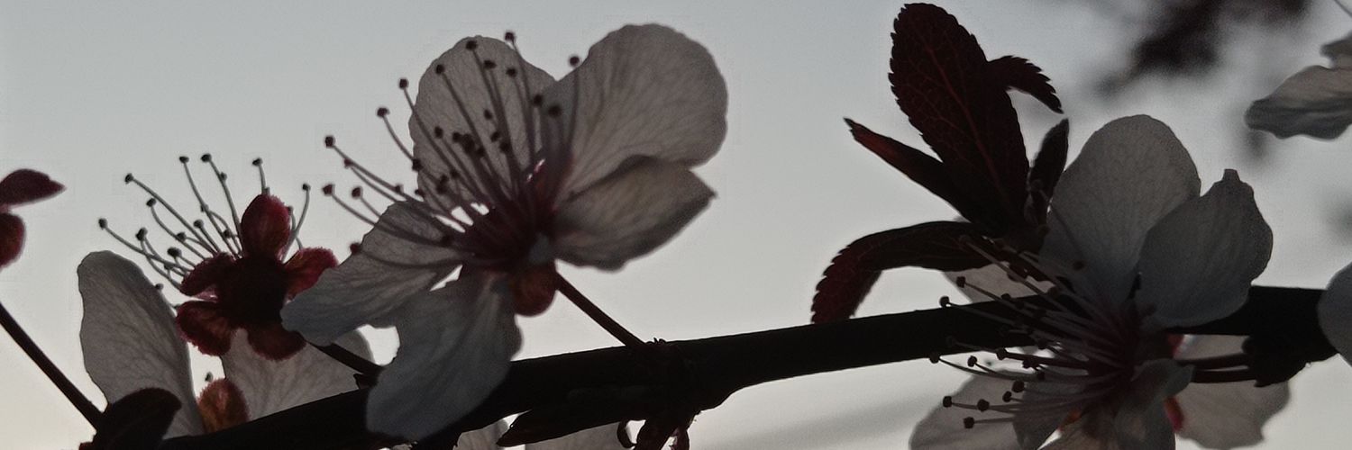 MrIsrael_'s profile banner image