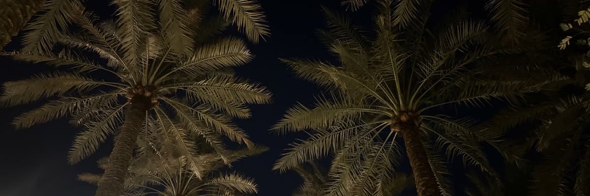 itstottta's profile banner image