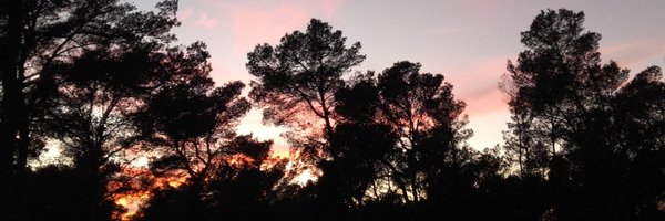 Toni_Bejar Profile Banner