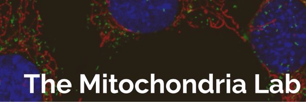 MikeRmitolab Profile Banner