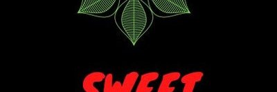 rebecca chamberlain banner