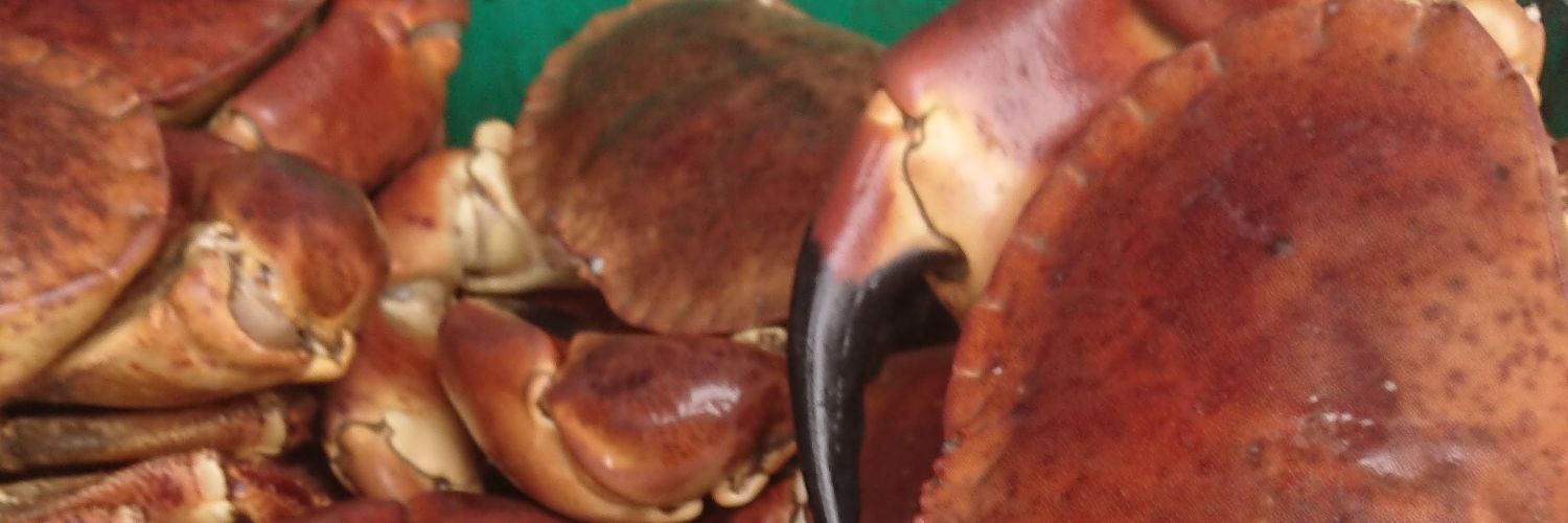 Great British Shellfish banner