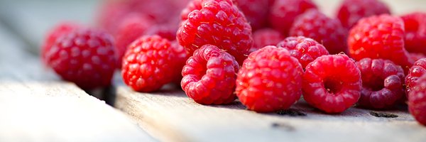 AHBisonspoor Profile Banner