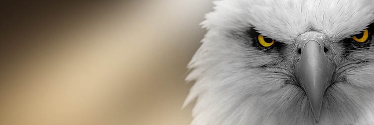 erdemereken's profile banner image