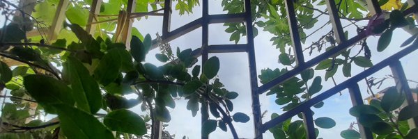 _mainack Profile Banner