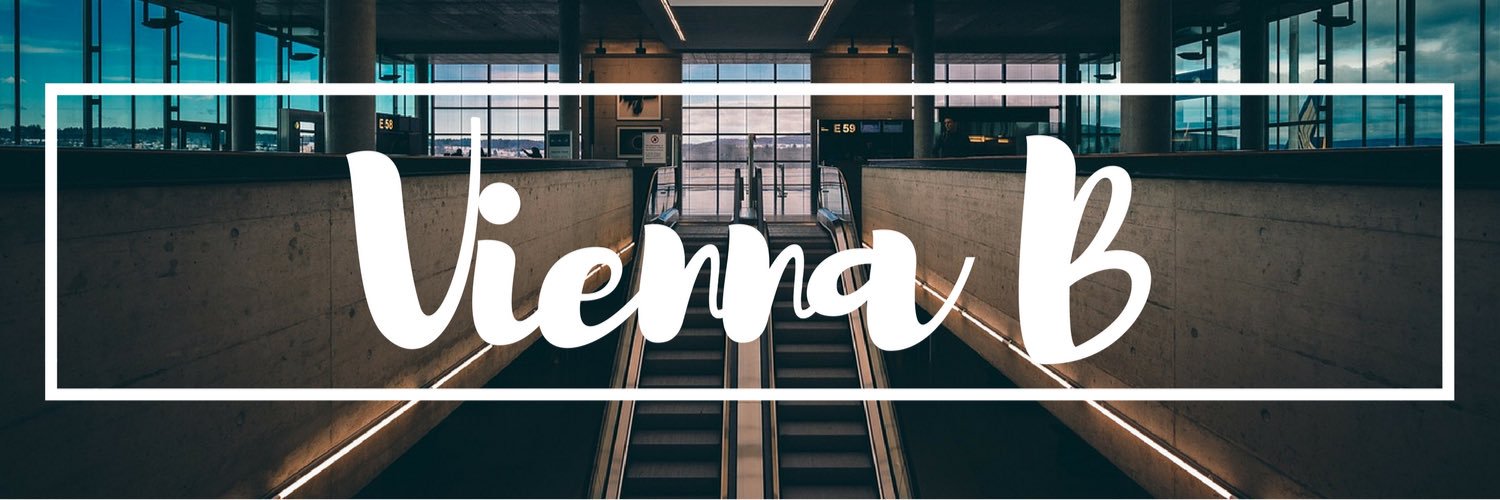 Vienna Baumgartner banner