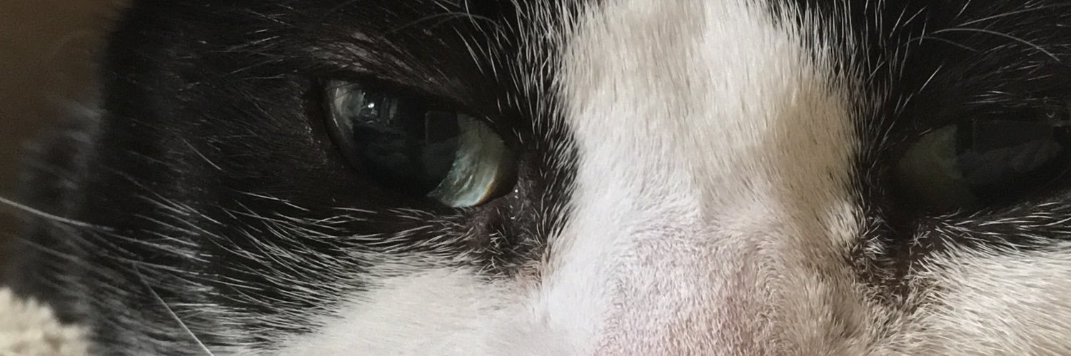 maxfullstop's profile banner image