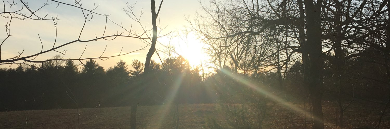 Stacy Garrepy banner