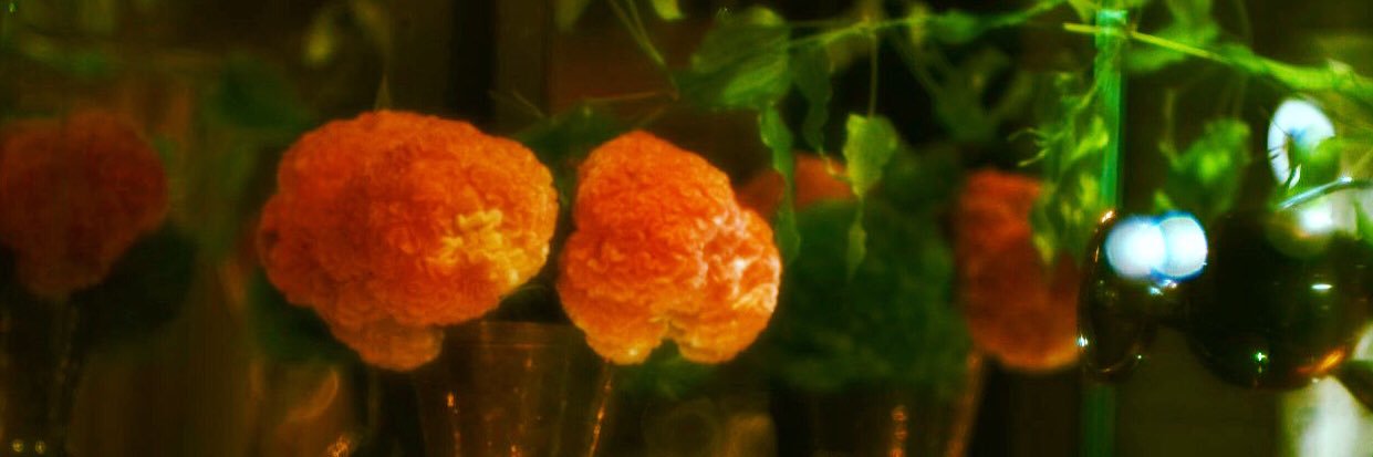 SOLAKZADE's profile banner image